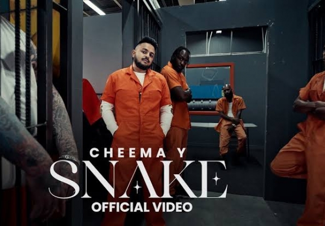 Snake (Cheema Y)