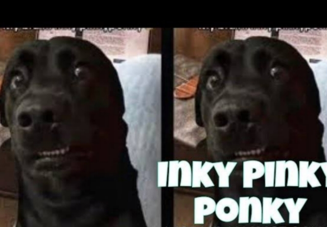 Inky Pinky Ponky
