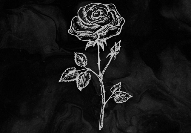 Rosy
