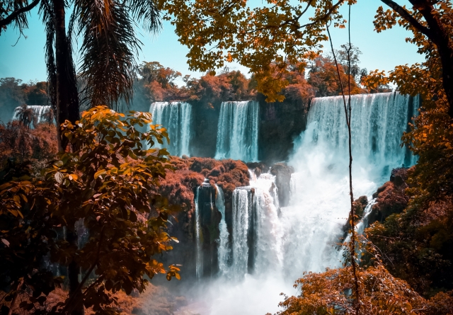 Nature 3D