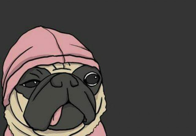 Cute Dog 