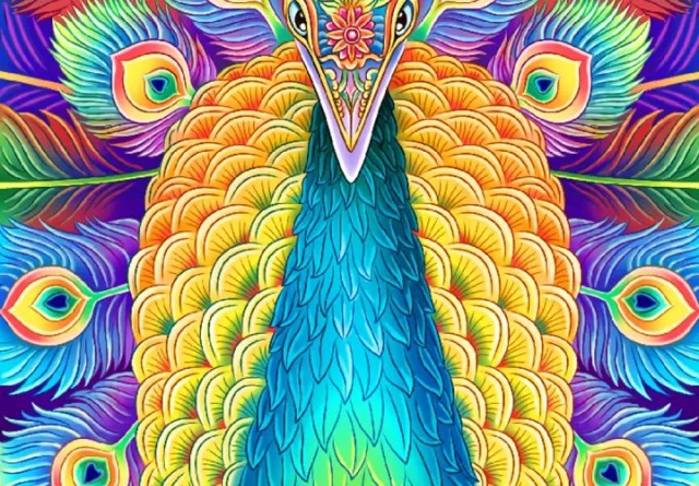 Peacock